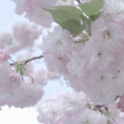 Furry绘画细节灵感福瑞交流群